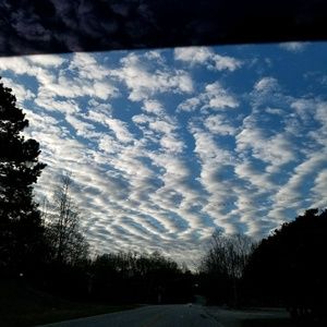 Meet your Posher, Rosa